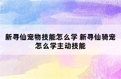 新寻仙宠物技能怎么学 新寻仙骑宠怎么学主动技能